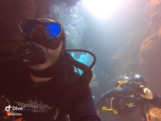 Dive+领路人的帖子