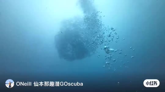 Dive+领路人的帖子