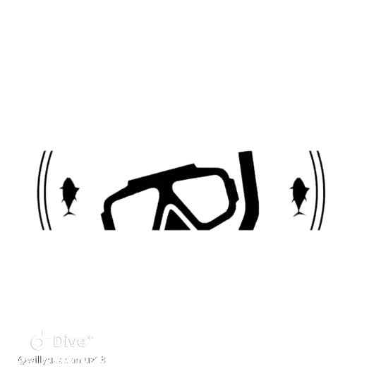 Dive+领路人的帖子