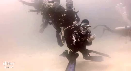 Dive+领路人的帖子