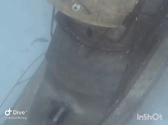 Dive+领路人的帖子