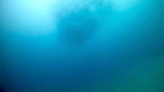 Dive+领路人的帖子