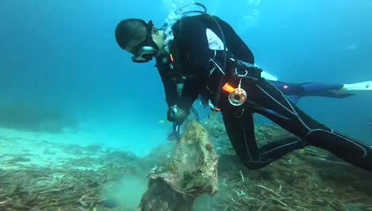 Dive+領路人的帖子