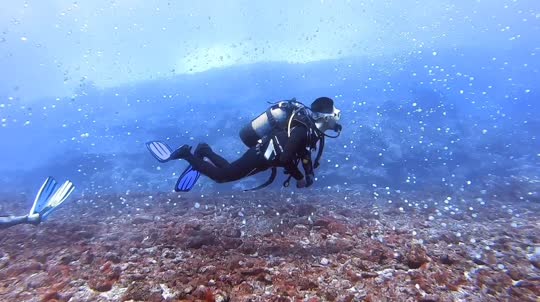 Dive+领路人的帖子