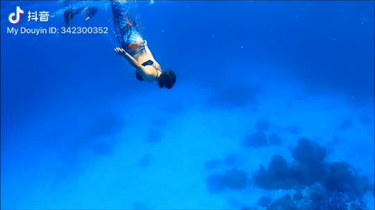 Dive+領(lǐng)路人的帖子
