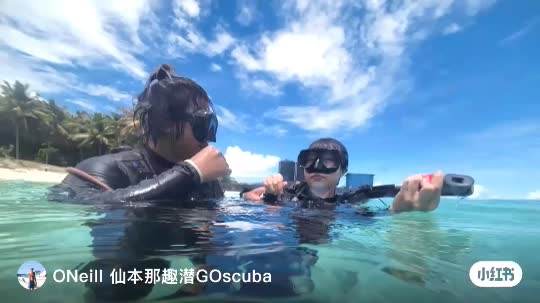 Dive+领路人的帖子