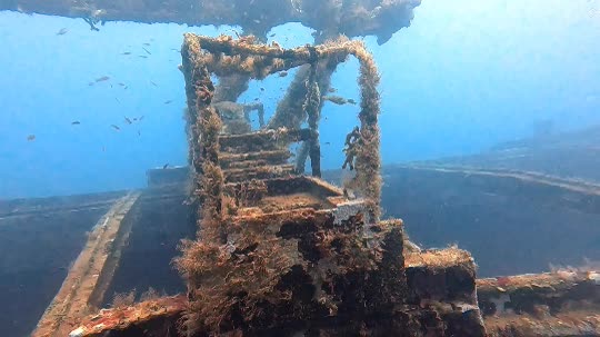 Dive+领路人的帖子