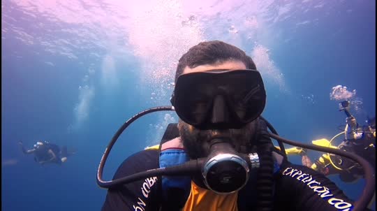 Dive+领路人的帖子