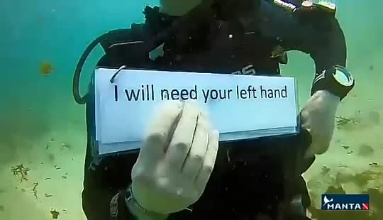 Dive+领路人的帖子