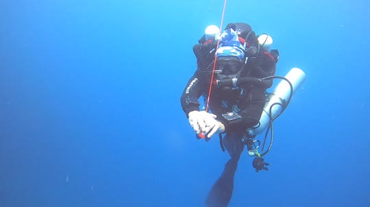 Dive+领路人的帖子