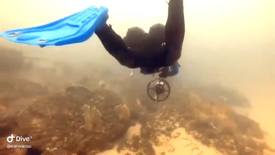 Dive+领路人的帖子