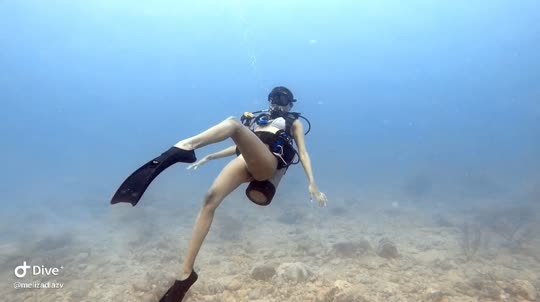 Dive+领路人的帖子