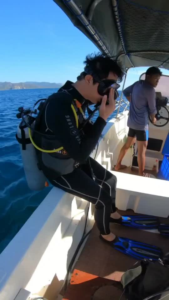 Dive+领路人的帖子