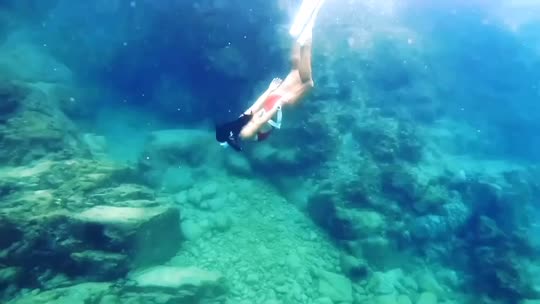 Dive+领路人的帖子