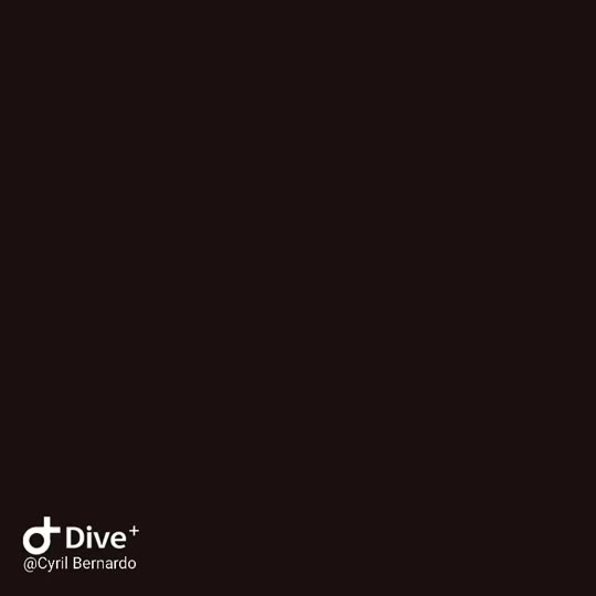 Dive+领路人的帖子