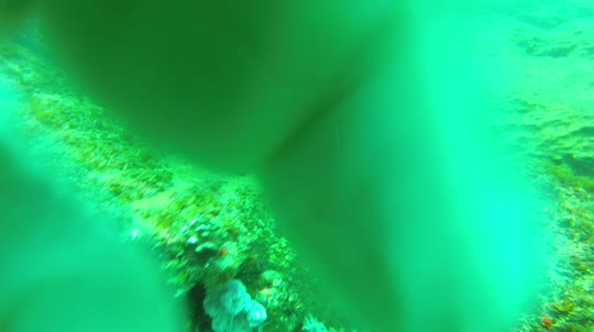 Dive+领路人的帖子