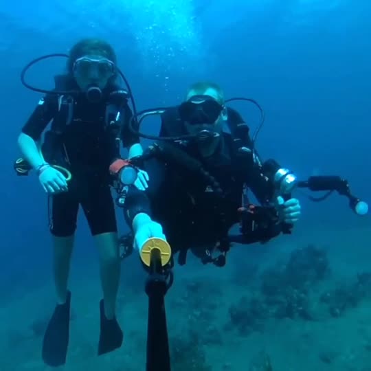 Dive+领路人的帖子