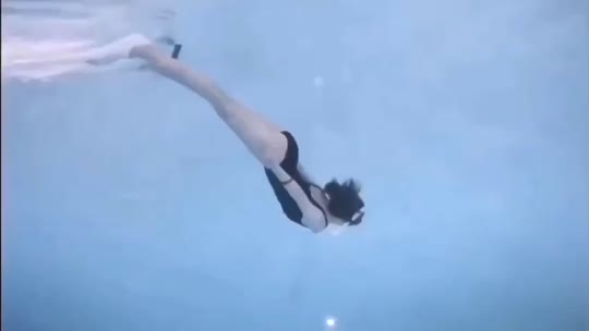 Dive+领路人的帖子