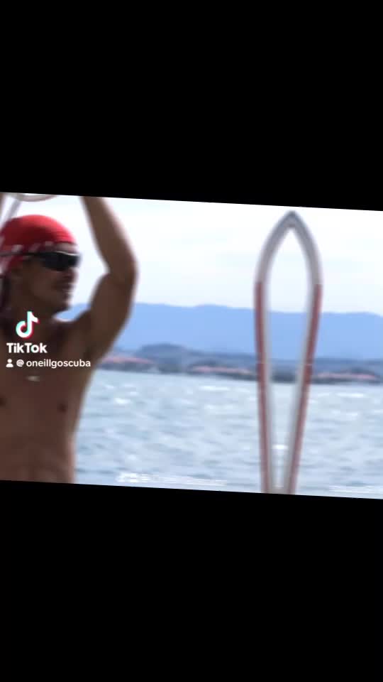 Dive+领路人的帖子