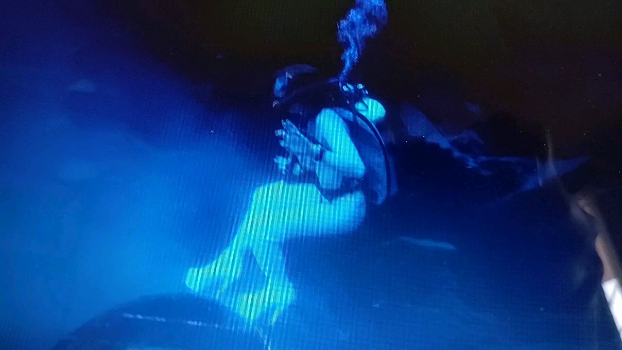 Dive+领路人的帖子