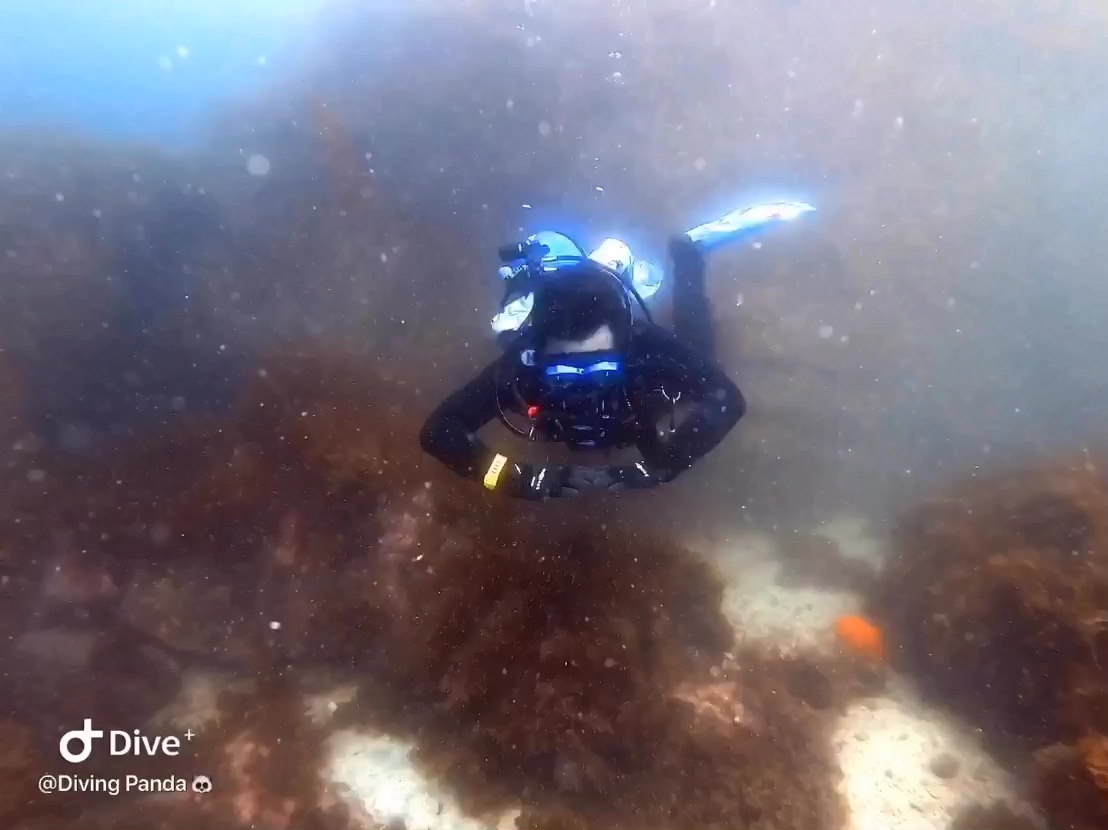 Dive+社區(qū)熱門(mén)帖子