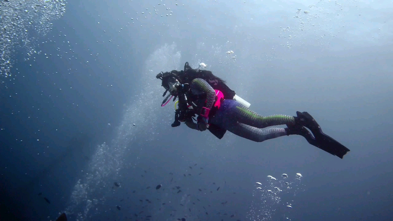Dive+领路人的帖子