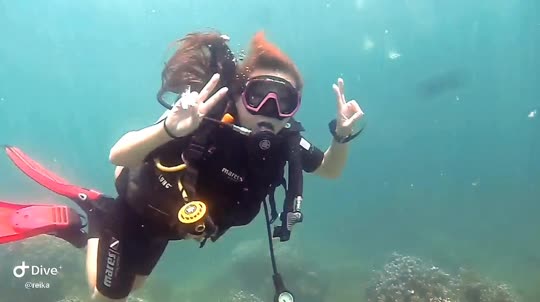 Dive+领路人的帖子