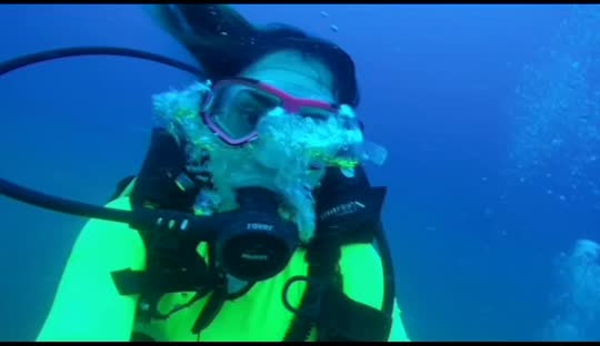Dive+领路人的帖子