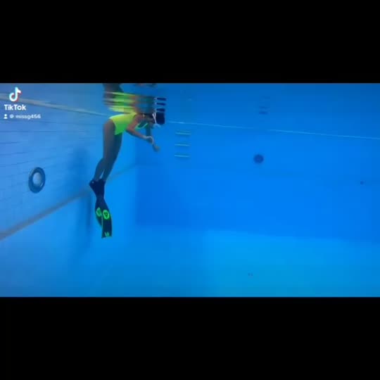 Dive+领路人的帖子