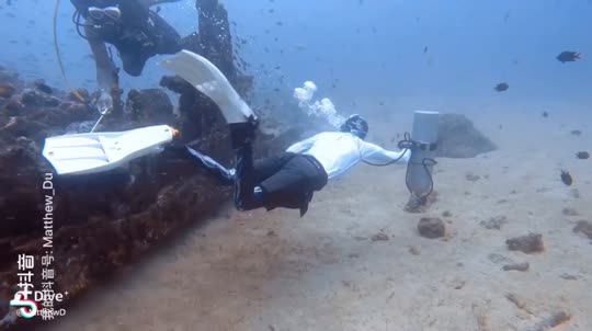 Dive+領(lǐng)路人的帖子