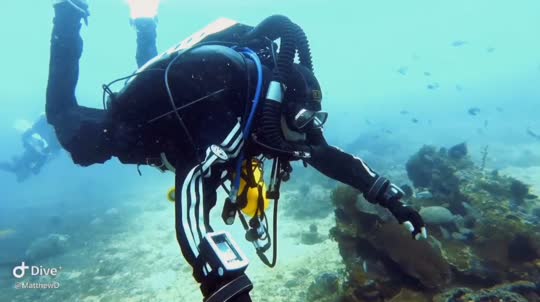 Dive+領路人的帖子