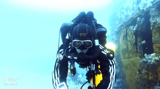 Dive+領路人的帖子