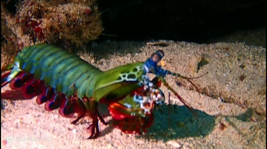 Dive+領(lǐng)路人的帖子