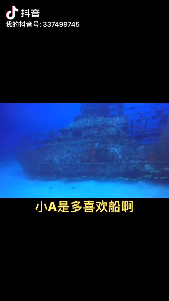 Dive+领路人的帖子