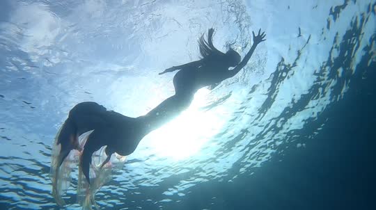 Dive+领路人的帖子