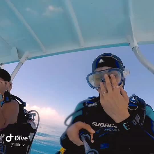 Dive+领路人的帖子