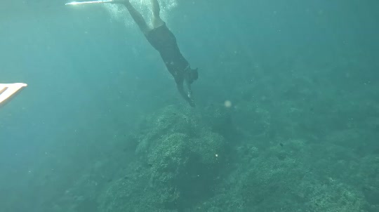 Dive+领路人的帖子