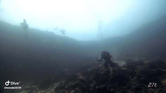 Dive+领路人的帖子