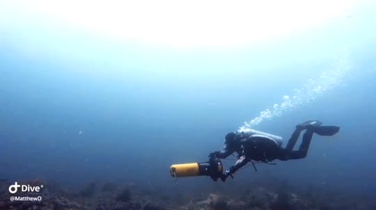 Dive+領路人的帖子