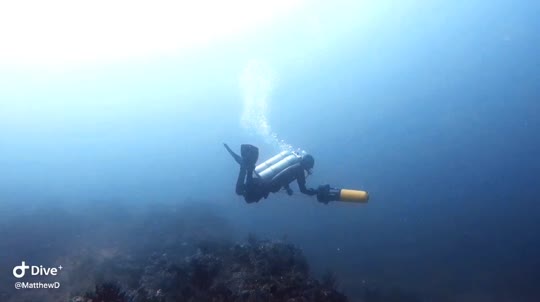 Dive+領路人的帖子