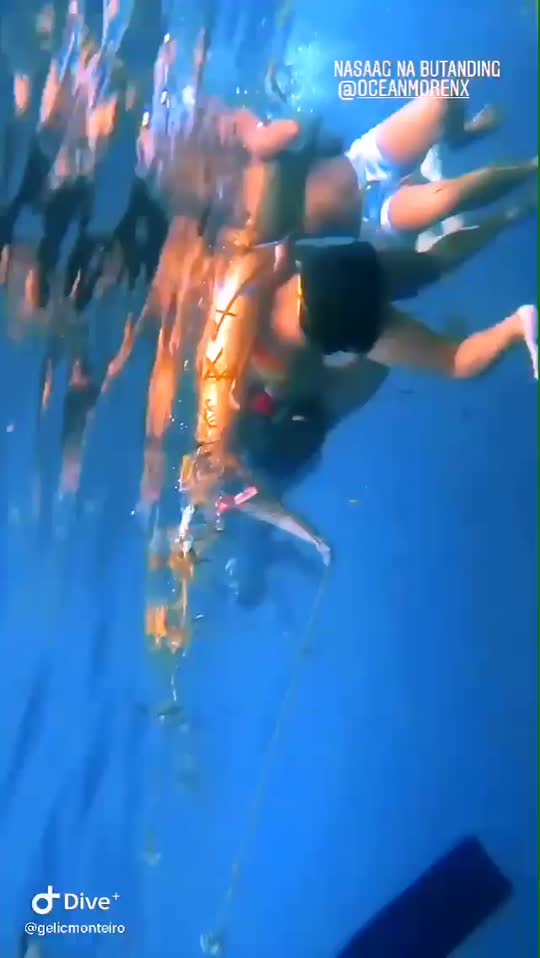 Dive+领路人的帖子
