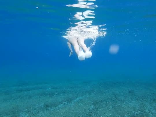 Dive+领路人的帖子