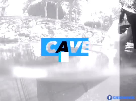 Dive+领路人的帖子