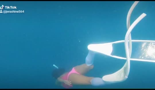 Dive+领路人的帖子