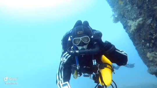 Dive+領路人的帖子