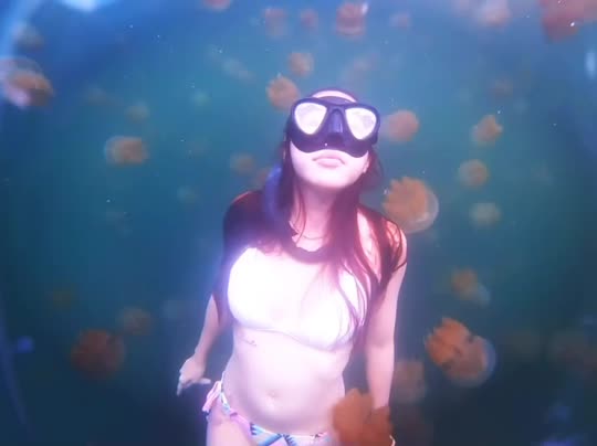 Dive+領(lǐng)路人的帖子
