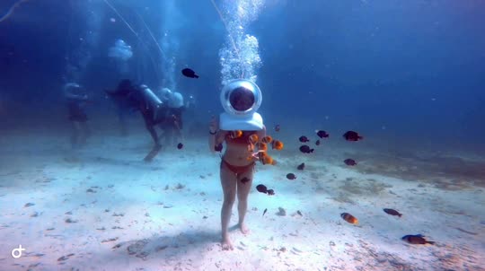 Dive+领路人的帖子
