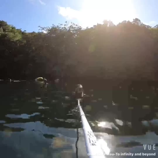 Dive+领路人的帖子