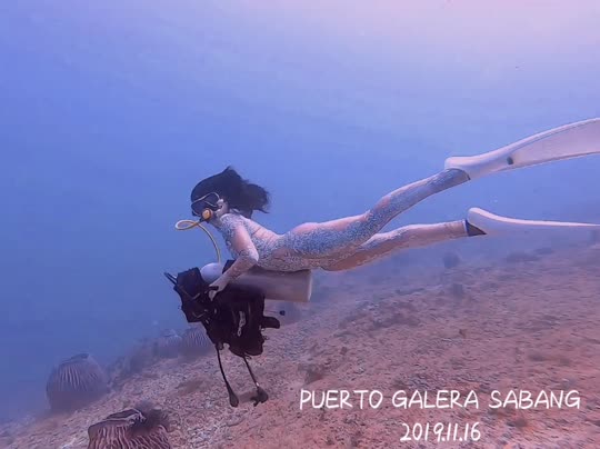 Dive+領(lǐng)路人的帖子