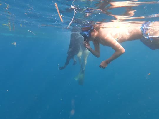 Dive+领路人的帖子